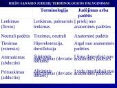 Riešo sąnarys 10 puslapis