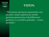 Rinkodaros pristatymas: UAB "Tavo namas" 4 puslapis