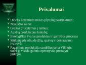 Rinkodaros pristatymas: UAB "Tavo namas" 6 puslapis