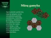 Rinkodaros pristatymas: UAB "Tavo namas" 8 puslapis