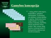 Rinkodaros pristatymas: UAB "Tavo namas" 9 puslapis