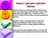 Rinkos pusiausvyra - pasiūla ir paklausa 10 puslapis