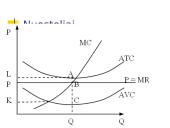 Rinkos struktūrų tipai 11 puslapis