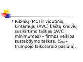 Rinkos struktūrų tipai 17 puslapis