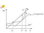 Rinkos struktūrų tipai 6 puslapis