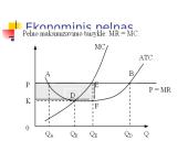 Rinkos struktūrų tipai 10 puslapis