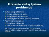 Rinkų analizavimas ir įvertinimas 12 puslapis