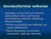 Rinkų analizavimas ir įvertinimas 7 puslapis