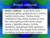Rizikos valdymas bankuose 2 puslapis