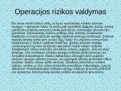 Rizikos valdymas bankuose 12 puslapis