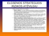 Rizikos valdymas bankuose 13 puslapis