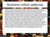 Rizikos valdymas bankuose 6 puslapis