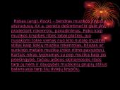 Roko muzika 2 puslapis