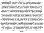 Roko muzika bei jos vystymasis 2 puslapis