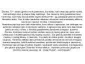 Roko muzika bei jos vystymasis 12 puslapis