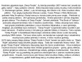 Roko muzika bei jos vystymasis 17 puslapis