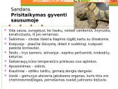 Roplių mityba ir dauginimasis 4 puslapis