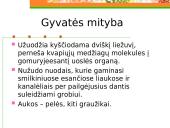 Roplių mityba ir dauginimasis 5 puslapis