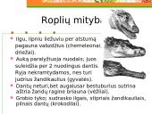 Roplių mityba ir dauginimasis 6 puslapis