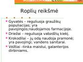Roplių mityba ir dauginimasis 9 puslapis