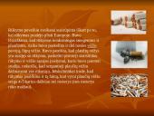 Rūkymo žala organizmui ir aplinkiniams 2 puslapis