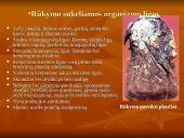 Rūkymo žala organizmui ir aplinkiniams 16 puslapis