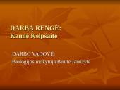 Rūkymo žala organizmui ir aplinkiniams 20 puslapis