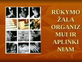 Rūkymo žala organizmui ir aplinkiniams 4 puslapis