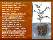 Rūkymo žala organizmui ir aplinkiniams 8 puslapis