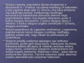 Rūkymas ir jo poveikis bei žala 17 puslapis