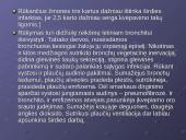 Rūkymas ir jo poveikis bei žala 20 puslapis