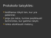 Rūkymo proceso reikalavimai 2 puslapis