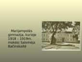 Salomėja Nėris, biografija, kūryba 7 puslapis