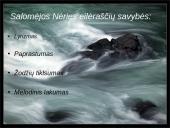 Salomėja Nėris talentingiausia XXa. lietuvių poetė  11 puslapis