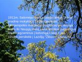 Salomėja Nėris talentingiausia XXa. lietuvių poetė  4 puslapis