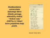 Salomėja Nėris talentingiausia XXa. lietuvių poetė  8 puslapis