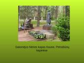 Salomėja Nėris (1904-1945)  12 puslapis