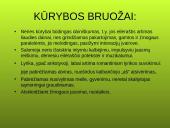 Salomėja Nėris (1904-1945)  7 puslapis