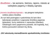 Sąmatų sudarymo tikslai, objektai ir sąmatų sistema. Lanksčios sąmatos 2 puslapis