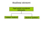Sąmatų sudarymo tikslai, objektai ir sąmatų sistema. Lanksčios sąmatos 11 puslapis
