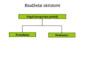 Sąmatų sudarymo tikslai, objektai ir sąmatų sistema. Lanksčios sąmatos 13 puslapis
