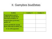 Sąmatų sudarymo tikslai, objektai ir sąmatų sistema. Lanksčios sąmatos 18 puslapis