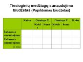 Sąmatų sudarymo tikslai, objektai ir sąmatų sistema. Lanksčios sąmatos 19 puslapis