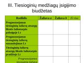 Sąmatų sudarymo tikslai, objektai ir sąmatų sistema. Lanksčios sąmatos 20 puslapis
