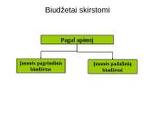 Sąmatų sudarymo tikslai, objektai ir sąmatų sistema. Lanksčios sąmatos 9 puslapis