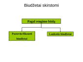 Sąmatų sudarymo tikslai, objektai ir sąmatų sistema. Lanksčios sąmatos 10 puslapis