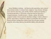 Senųjų raštų kalbos ypatumai pagal Joną Bretkūną 12 puslapis