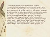 Senųjų raštų kalbos ypatumai pagal Joną Bretkūną 15 puslapis