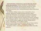 Senųjų raštų kalbos ypatumai pagal Joną Bretkūną 20 puslapis