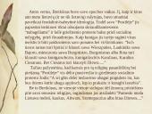 Senųjų raštų kalbos ypatumai pagal Joną Bretkūną 5 puslapis